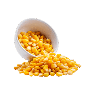Maize (Corn)