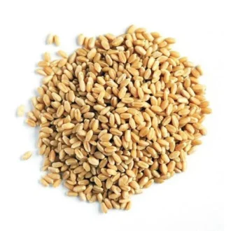 Wheat (Hard & Soft)