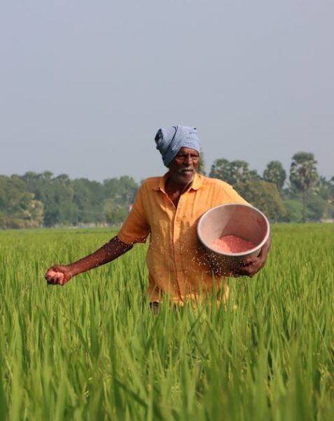 free-photo-of-farmer-walking-on-the-rice-field
