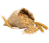 grains_oilseeds_top_a-removebg-preview
